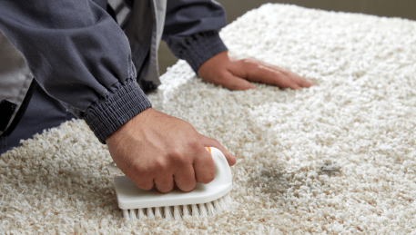 Professional Rug Cleaning Mollongghip